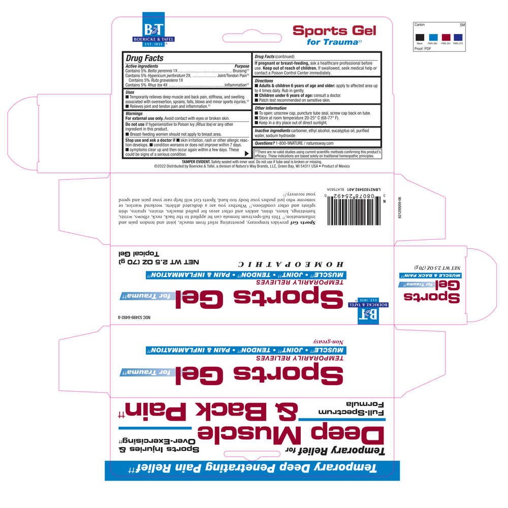 Boericke & Tafel Sports Gel 2.5 Ounces