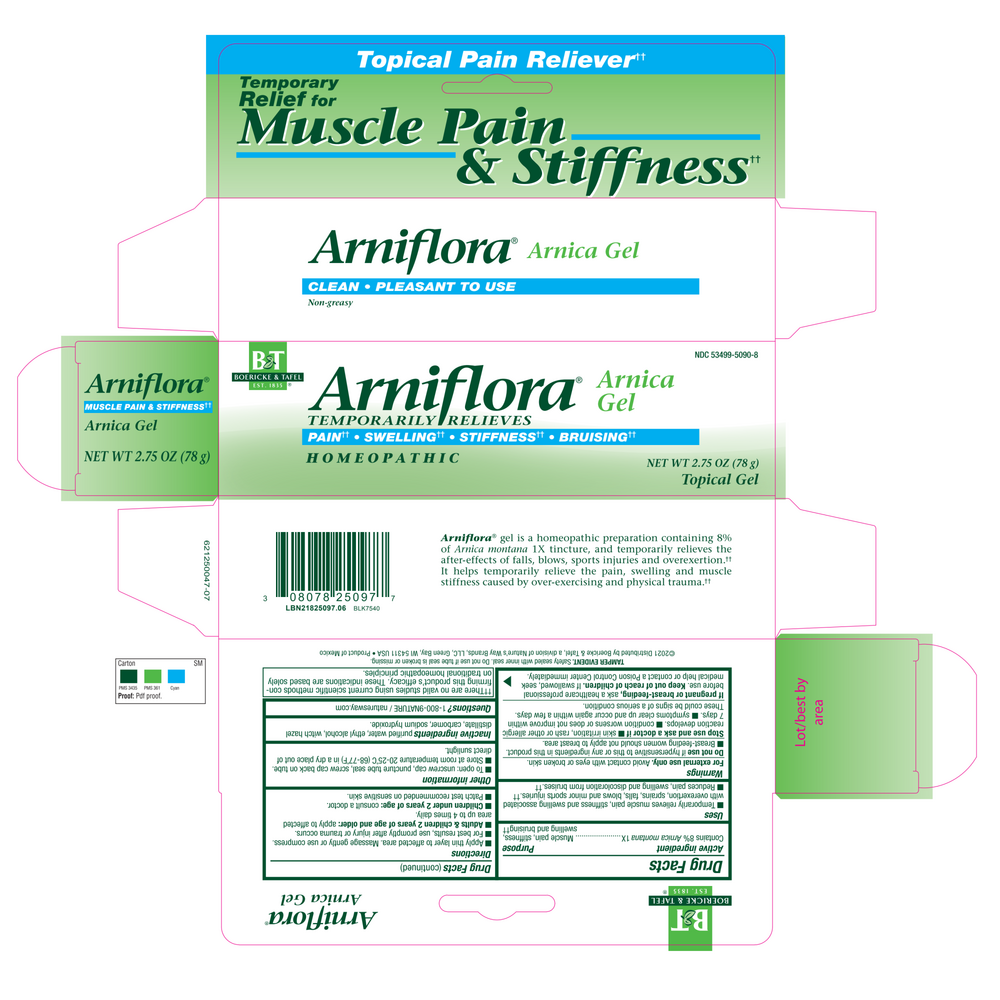 Boericke & Tafel Arniflora Gel 2.75oz