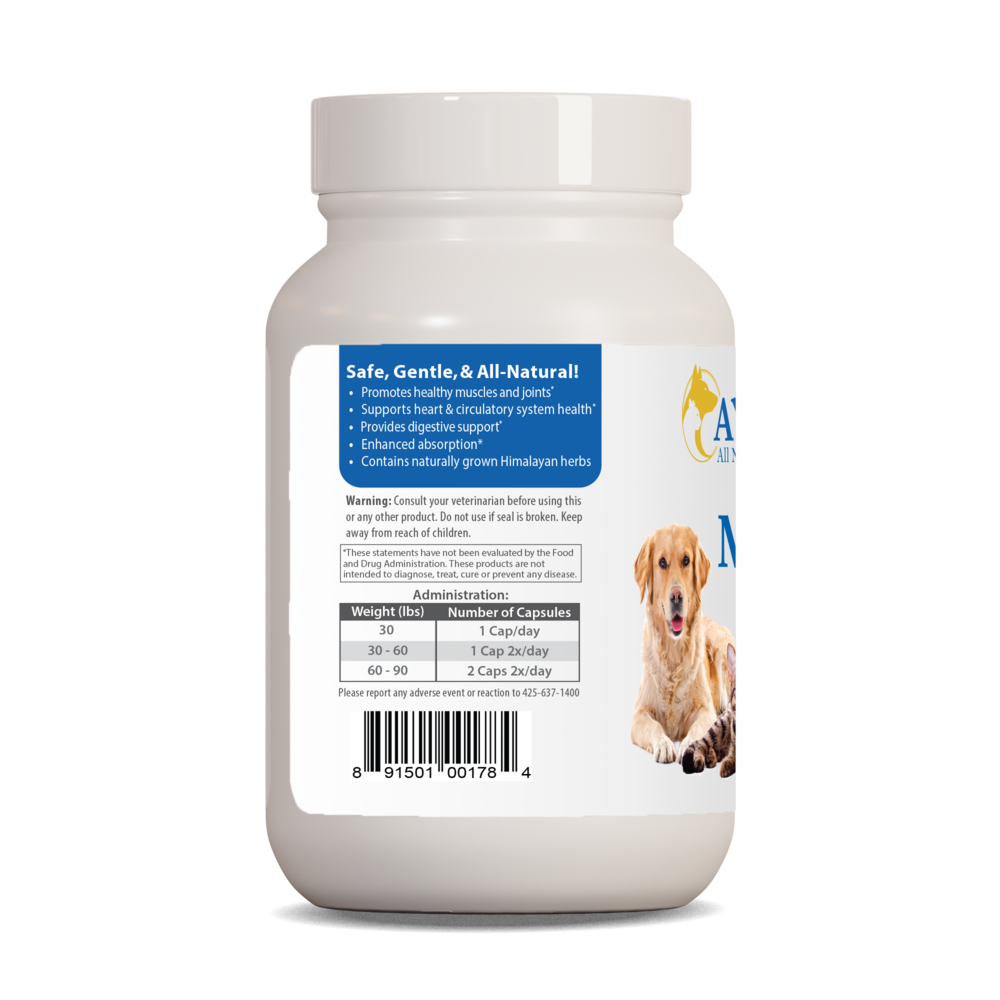Ayush Herbs Pet Curcumin 97% 90 capsules