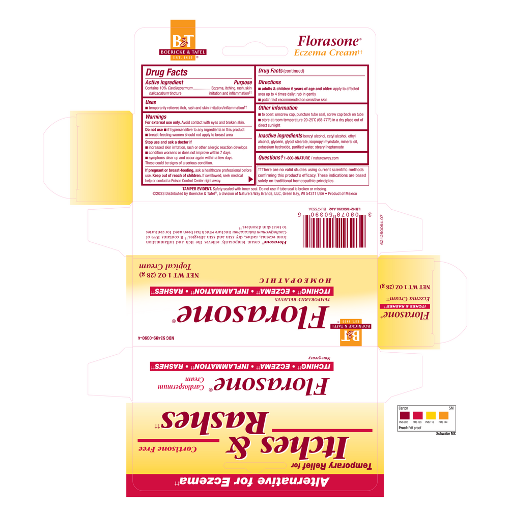 Boericke & Tafel Florasone Cream 1oz