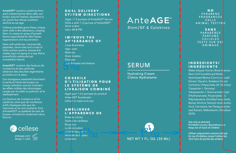 AnteAGE Serum (30ml)