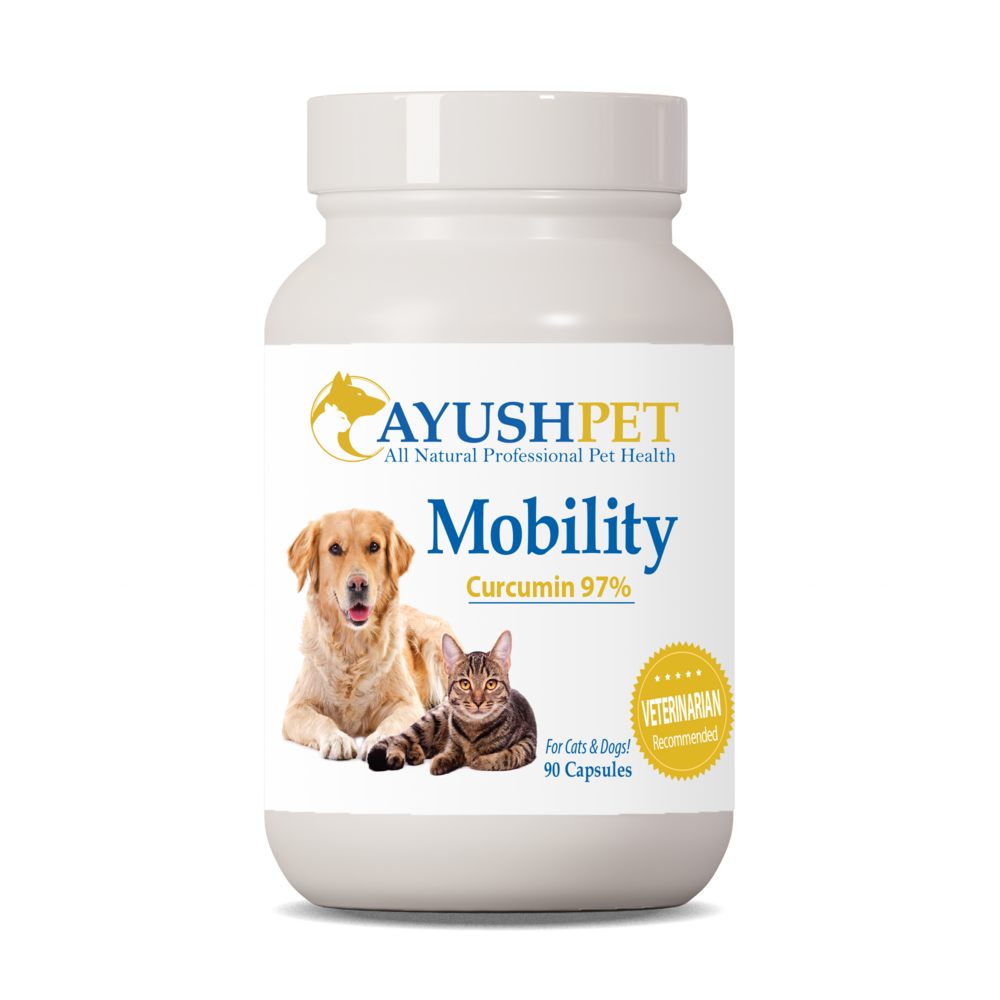 Ayush Herbs Pet Curcumin 97% 90 capsules