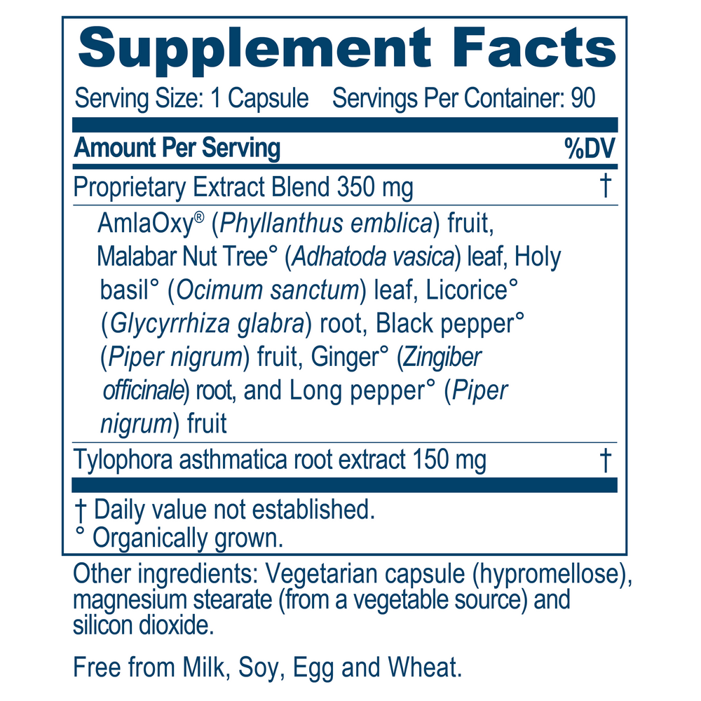 Ayush Herbs BronchoTone 90 capsules