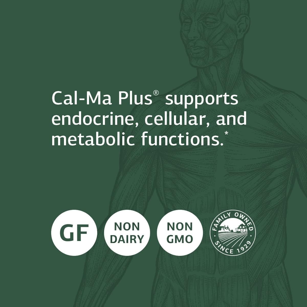 Standard Process Cal-Ma Plus, Calcium & Endocrine Supplement, 180 Tablets