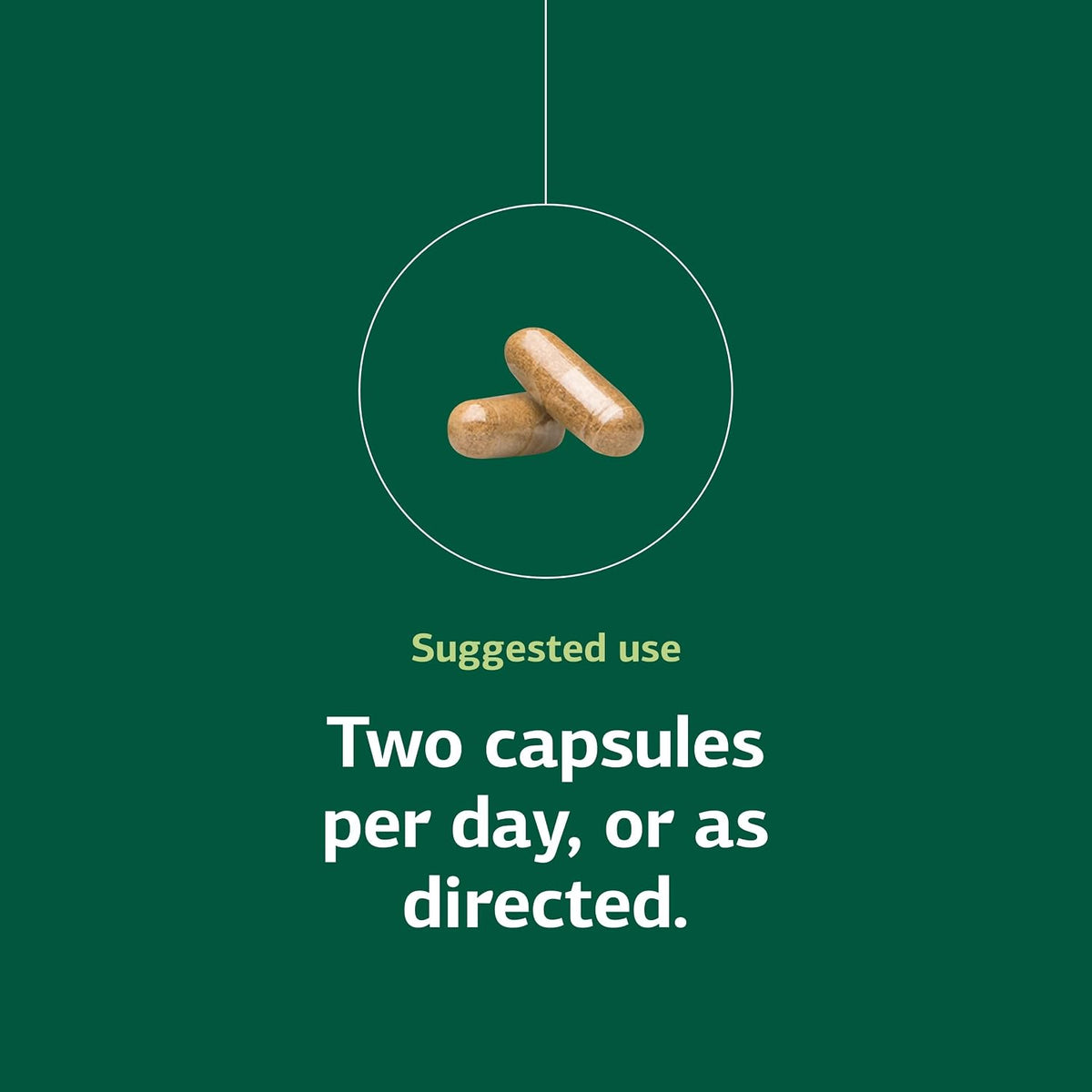 Standard Process Neuroplex, Nervous & Endocrine System Support, 90 Capsules