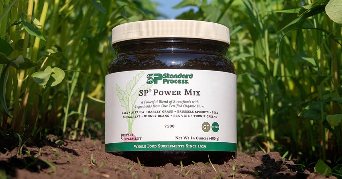 Standard Process SP Power Mix, Plant Superfood Antioxidants, 30-Day Supply