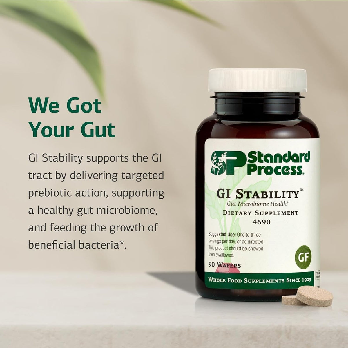 Standard Process GI Stability, Gut Microbiome & Immune Support, 90 Wafers