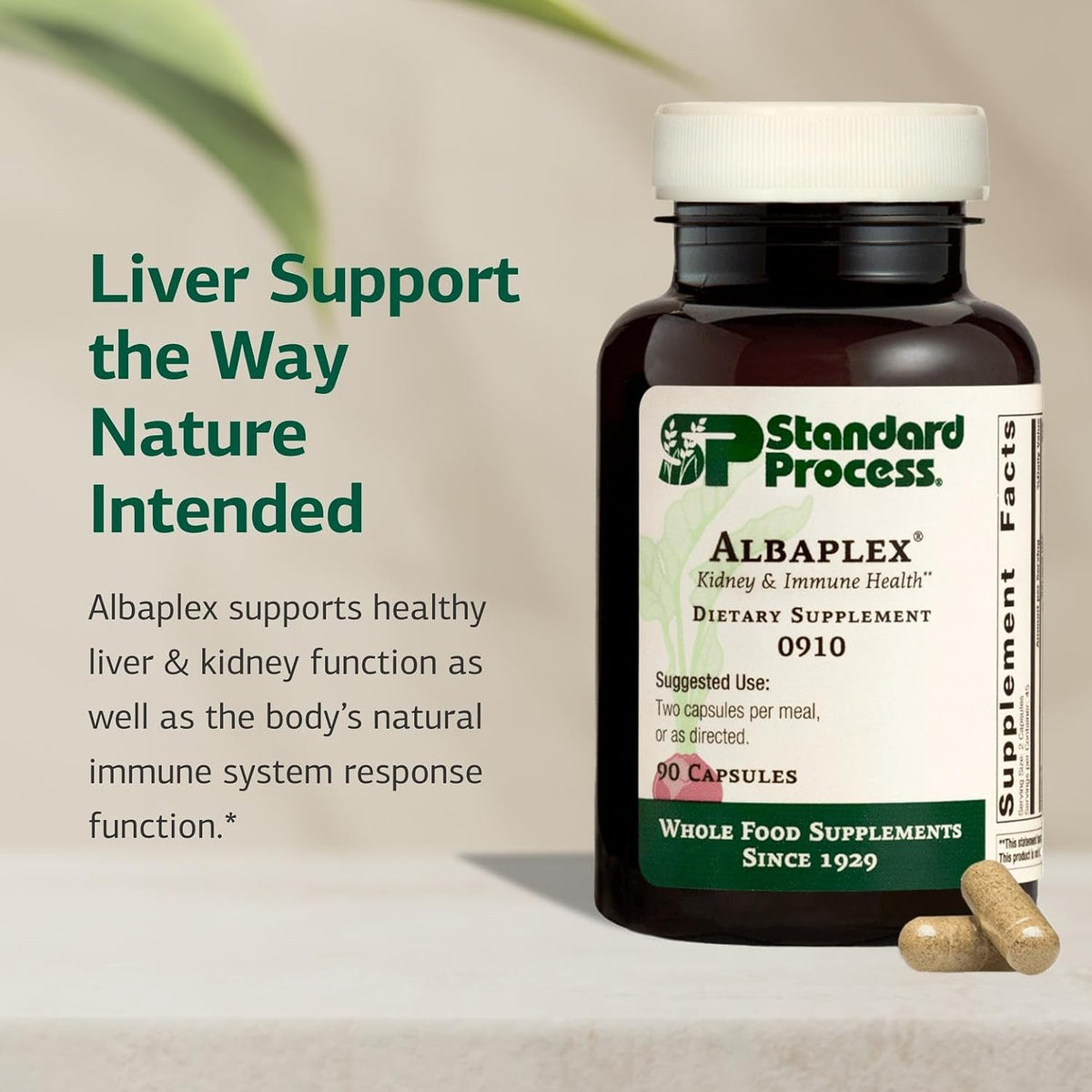 Standard Process Albaplex, Kidney & Liver Supplement, 90 Capsules