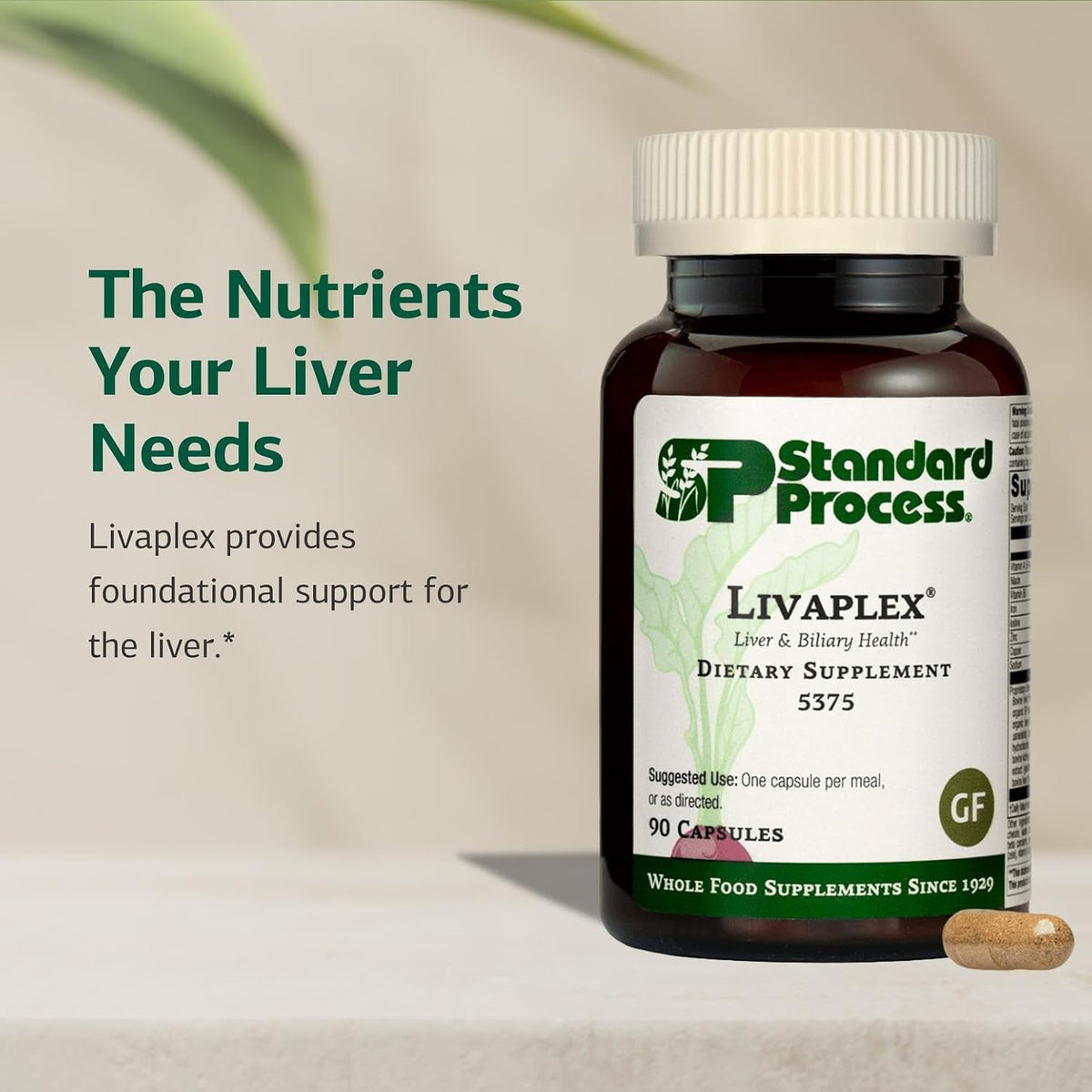 Standard Process Livaplex, Bowel, Digestion & Liver Support, 90 Capsules