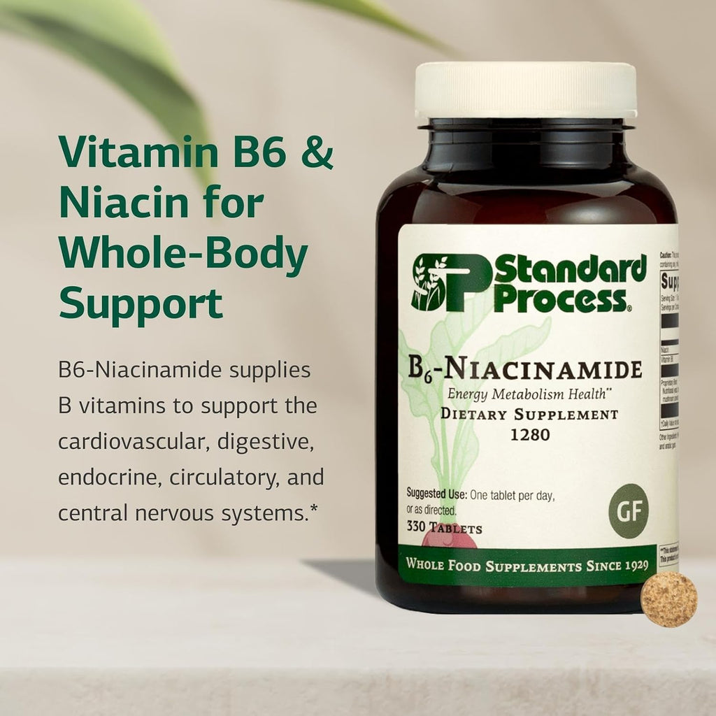 Standard Process B6-Niacinamide,Vitamins B Energy Metabolism, 330 Tablets