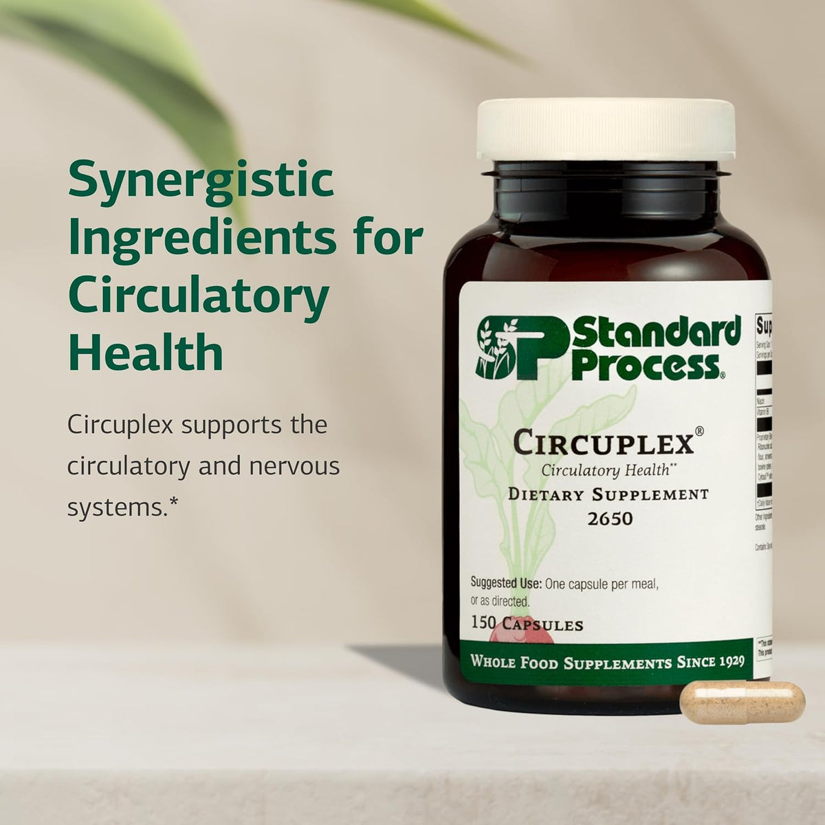 Standard Process Circuplex, Vascular &amp; Nervous System Support, 150 Capsules
