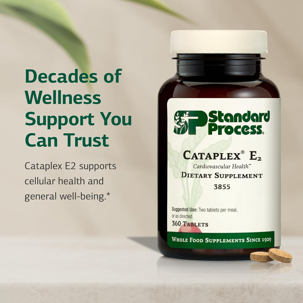 Standard Process Cataplex E2, Heart & Cellular Health, 360 Tablets