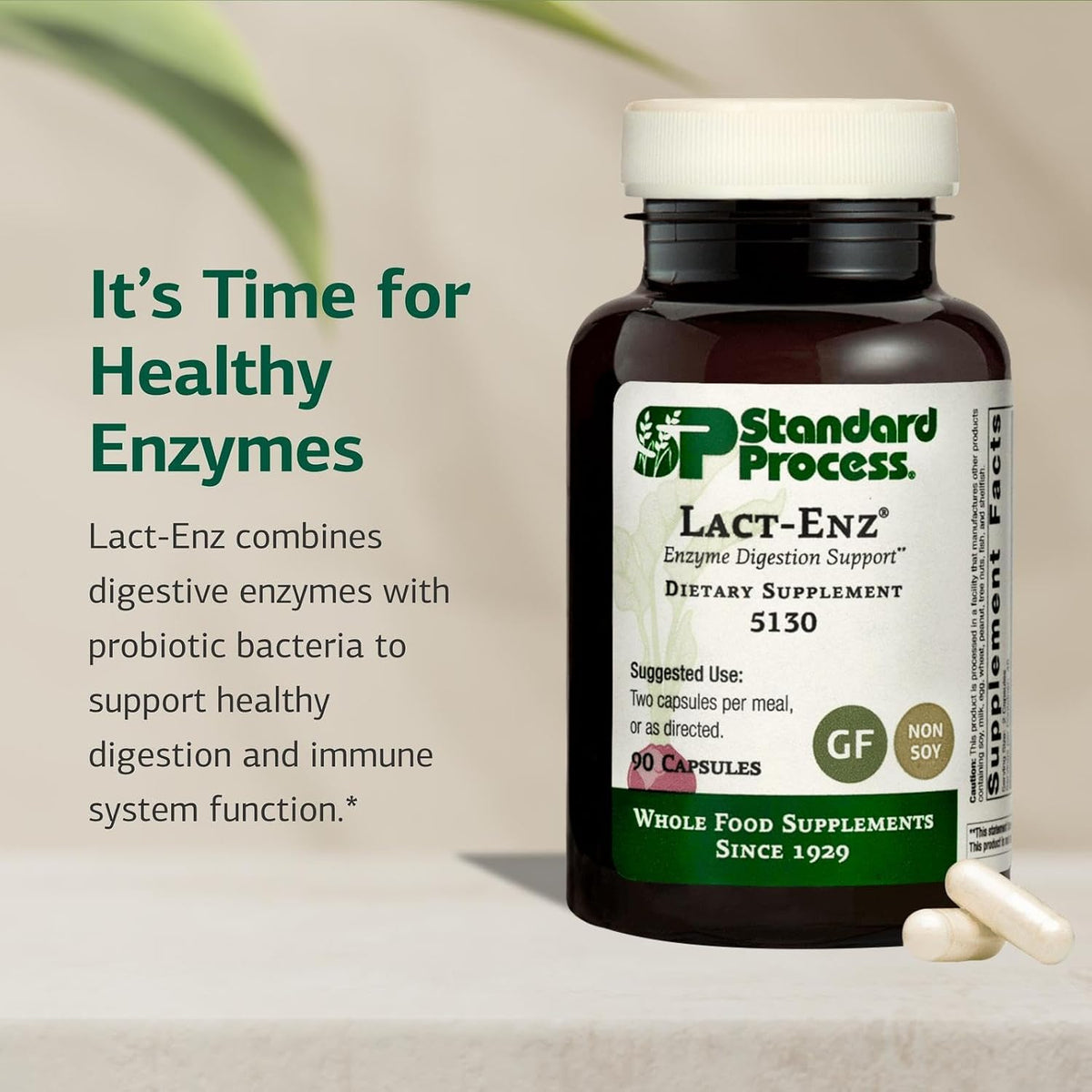 Standard Process Lact-ENZ, Enzyme Digestion & Probiotic Aid, 90 Capsules