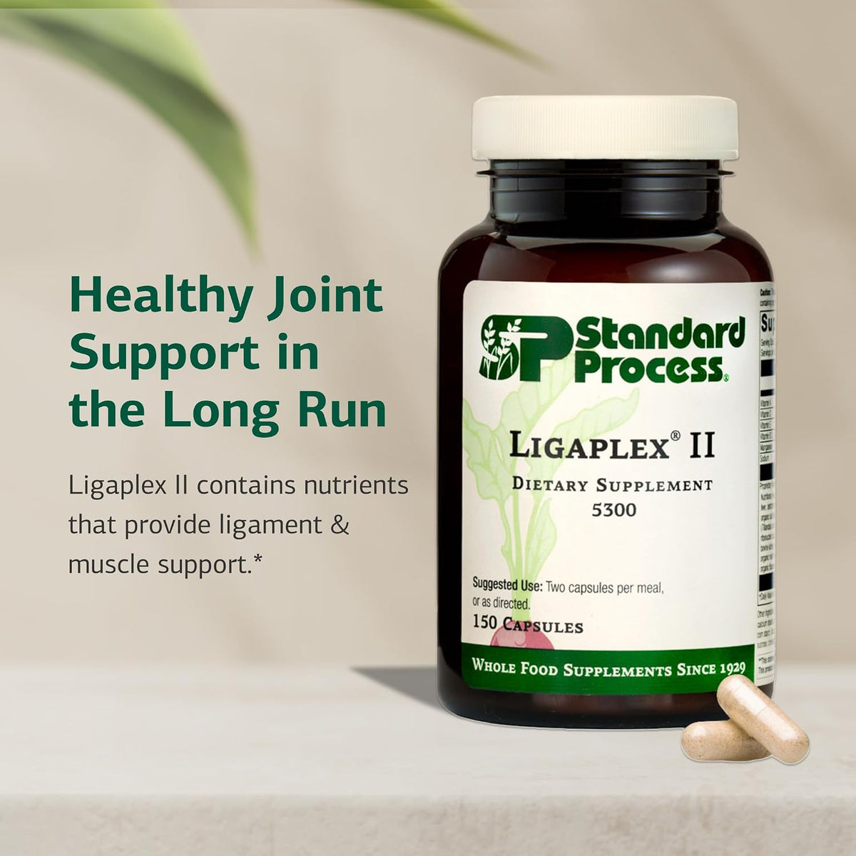 Standard Process Ligaplex II, Joint & Bone Support Supplement, 150 Capsules