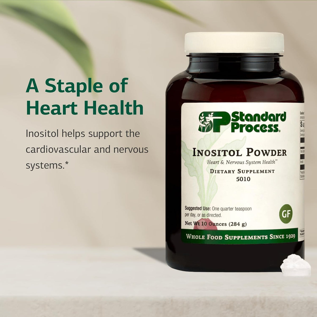 Standard Process Inositol Powder - Daily Heart Supplement for Cardiovascular & Nervous System Support - Gluten-Free, Non-Dairy & Non-Soy - 10 Ounces (405 Servings)