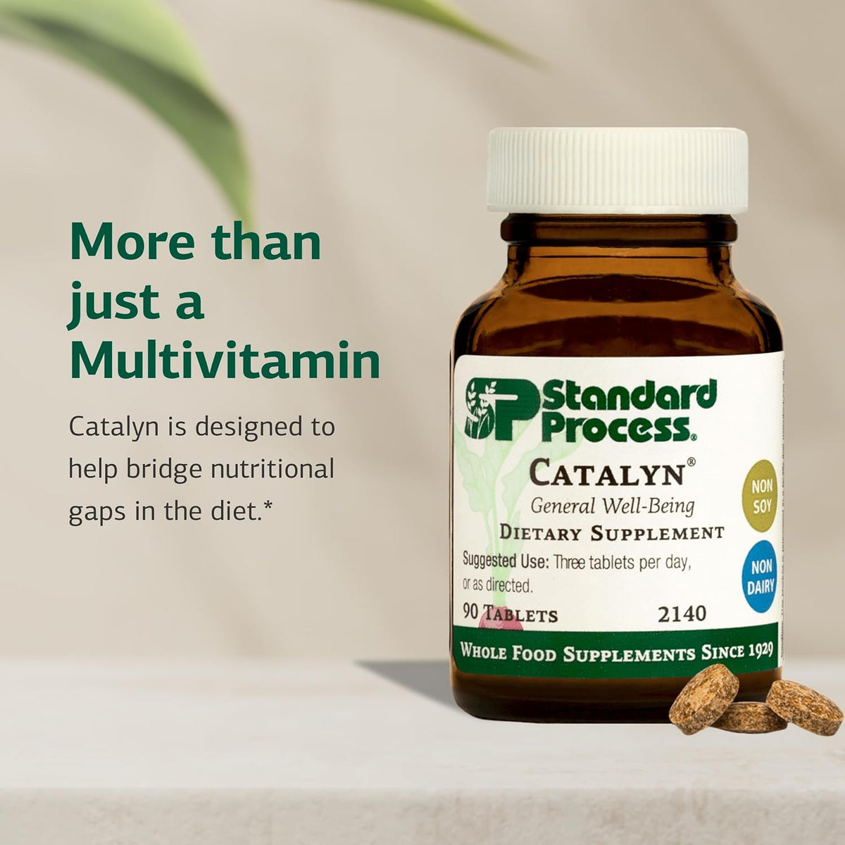 Standard Process Catalyn, General Well-Being Supplement, 90 Tablets
