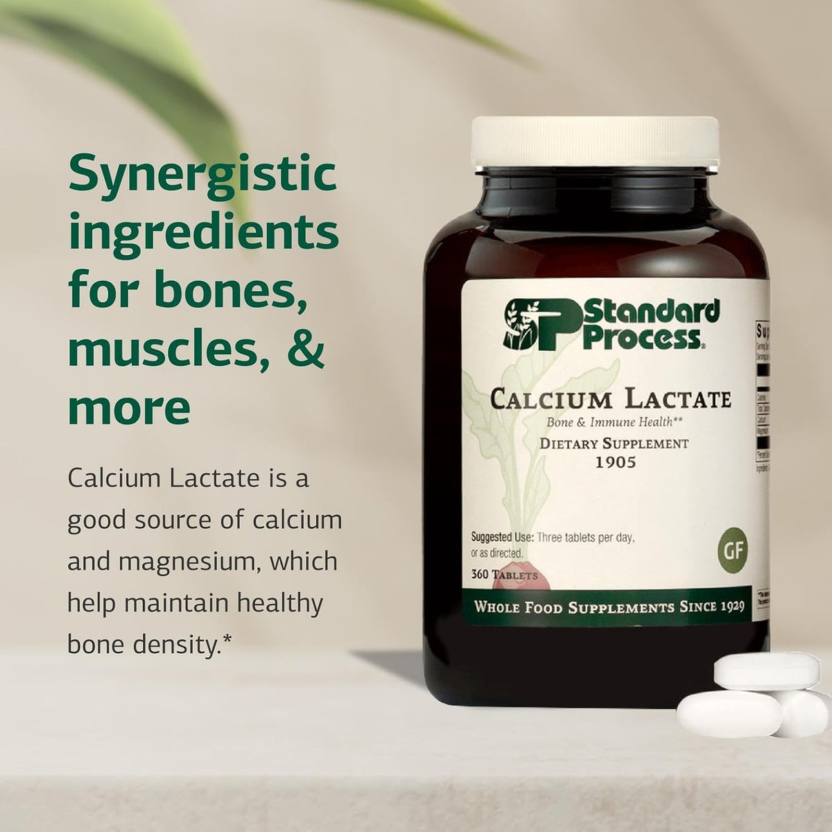 Standard Process Calcium Lactate, Bone & Immune Supplement, 360 Tablets
