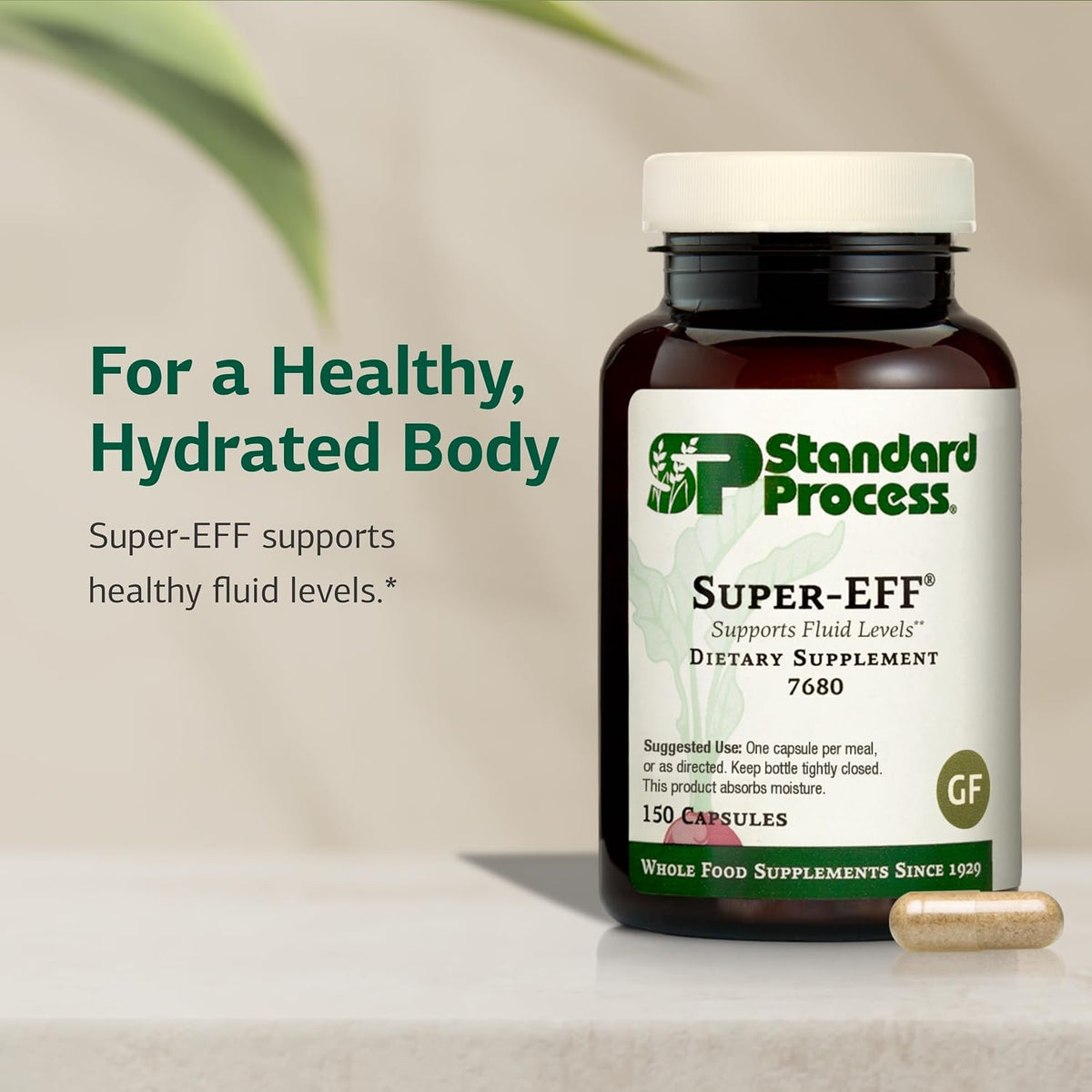 Standard Process Super-EFF, Fluid & Energy Level Support, 150 Capsules