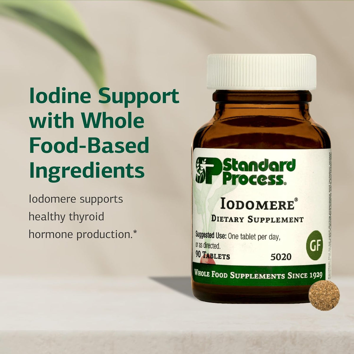 Standard Process Iodomere, Thyroid Hormone Production Suupport, 90 Tablets
