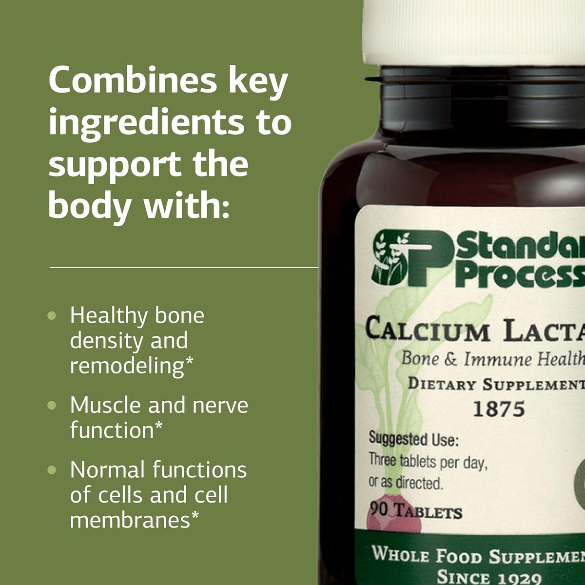 Standard Process Calcium Lactate, Bone & Immune Supplement, 90 Tablets
