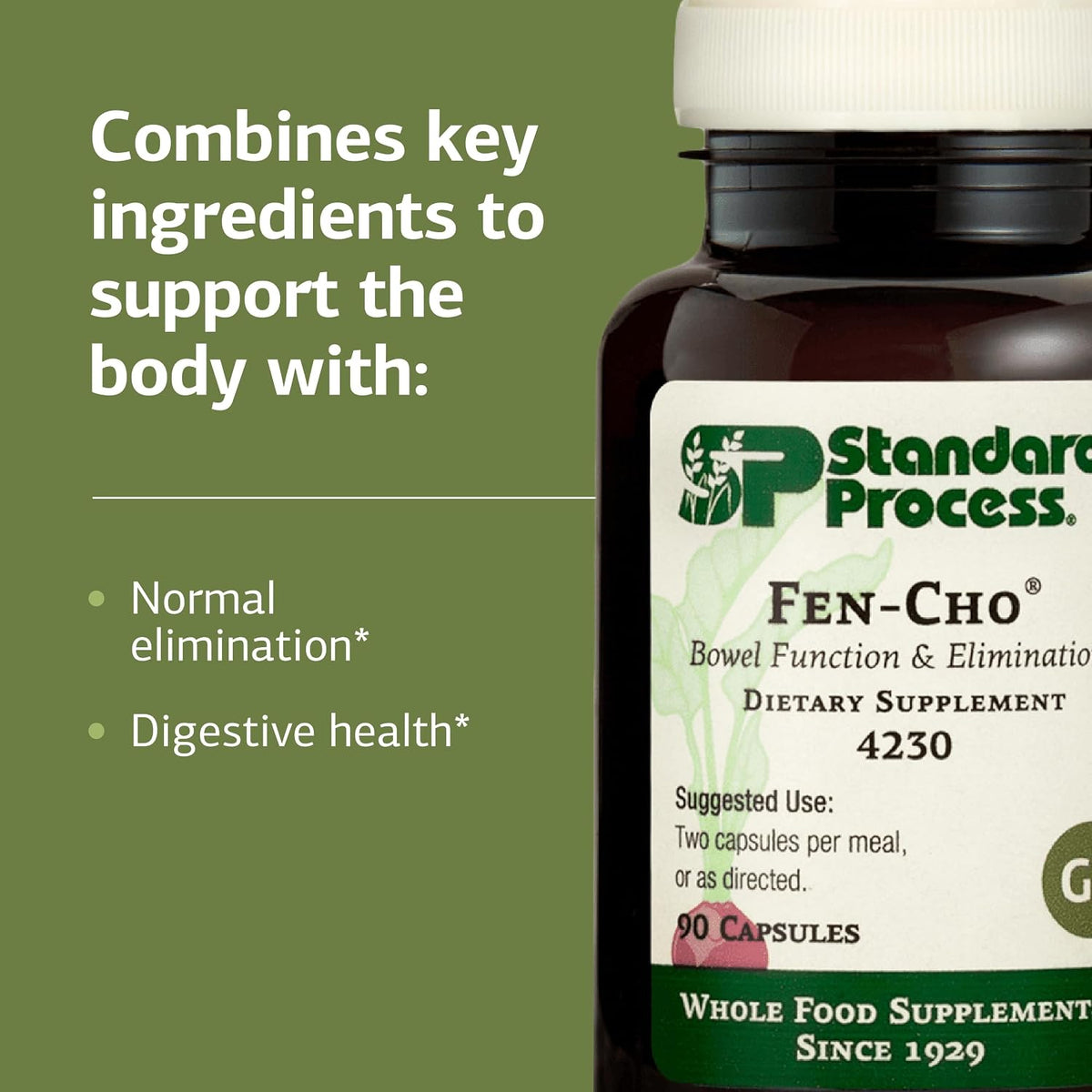 Standard Process Fen-Cho, Digestive & Gut Health Supplement, 90 Capsules