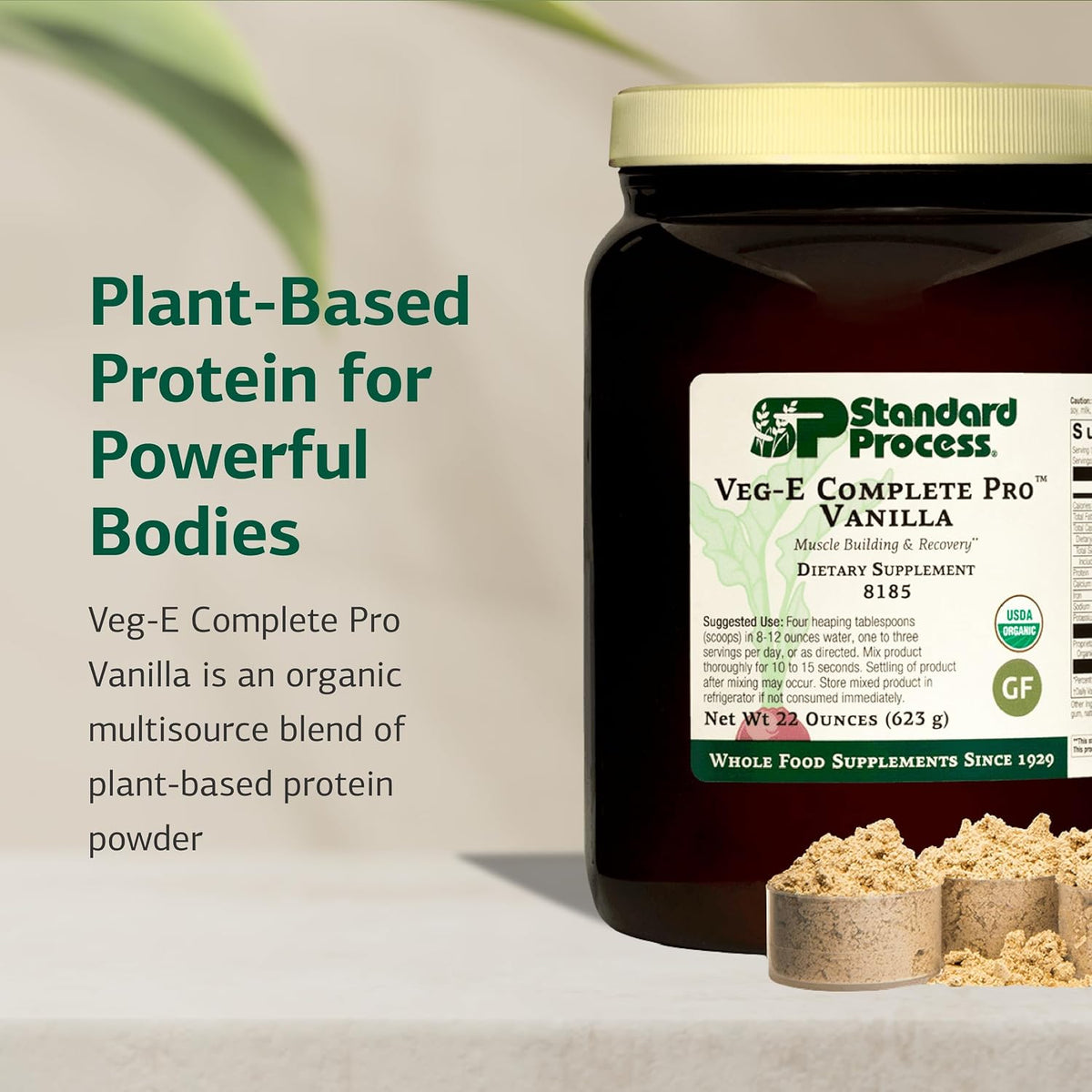 Standard Process Veg-E Complete Pro, Plant-Based, Vanilla,18 Servings