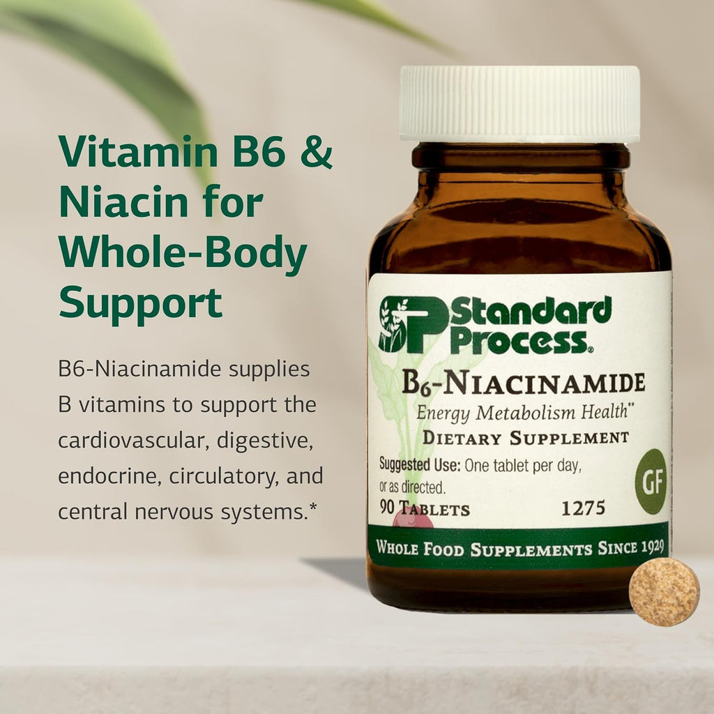 Standard Process B6-Niacinamide,Vitamin B Energy Metabolism, 90 Tablets