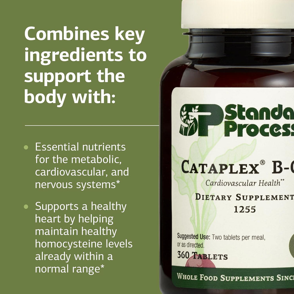Standard Process Cataplex B-GF, Nervous System Support, 360 Tablets