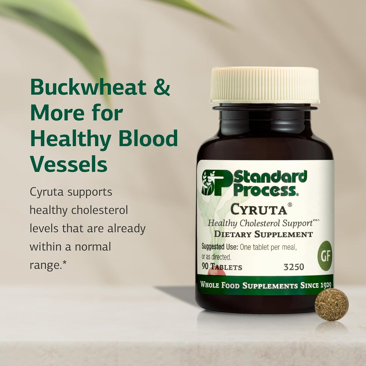 Standard Process Cyruta, Metabolic & Circulation Support, 90 Tablets