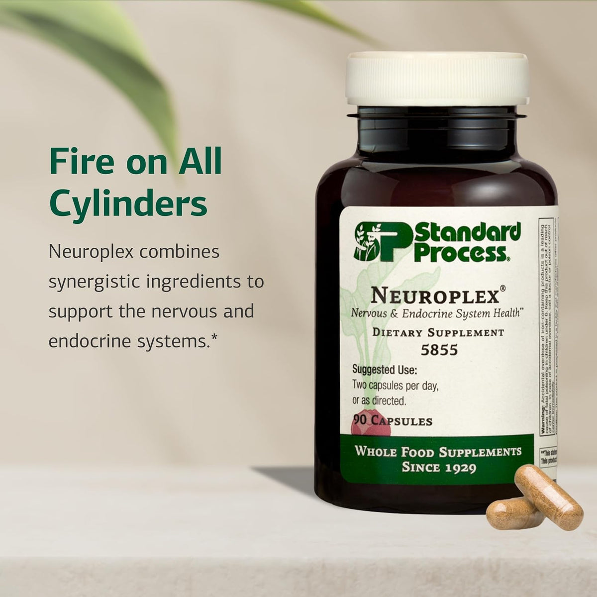 Standard Process Neuroplex, Nervous & Endocrine System Support, 90 Capsules