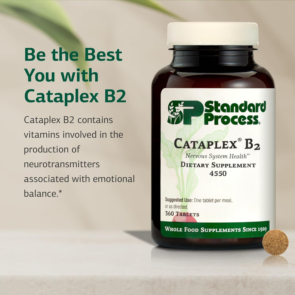 Standard Process Cataplex B2, Nervous System & Brain Health, 360 Tablets