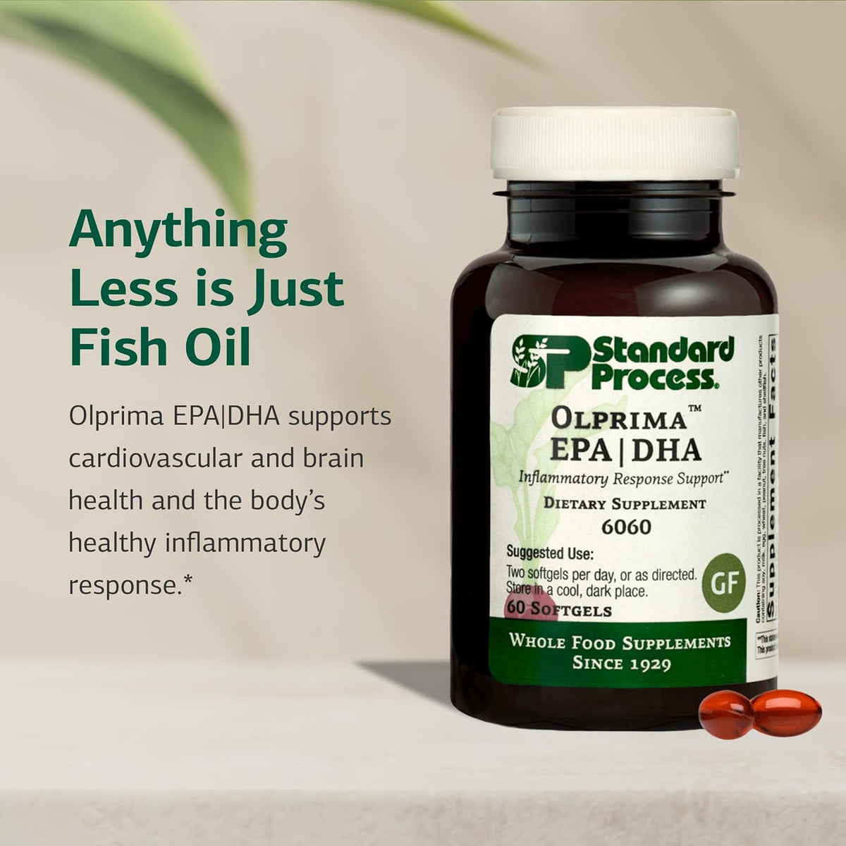 Standard Process Olprima EPA|DHA, Omega-3 Oil Brain Health, 60 Softgels