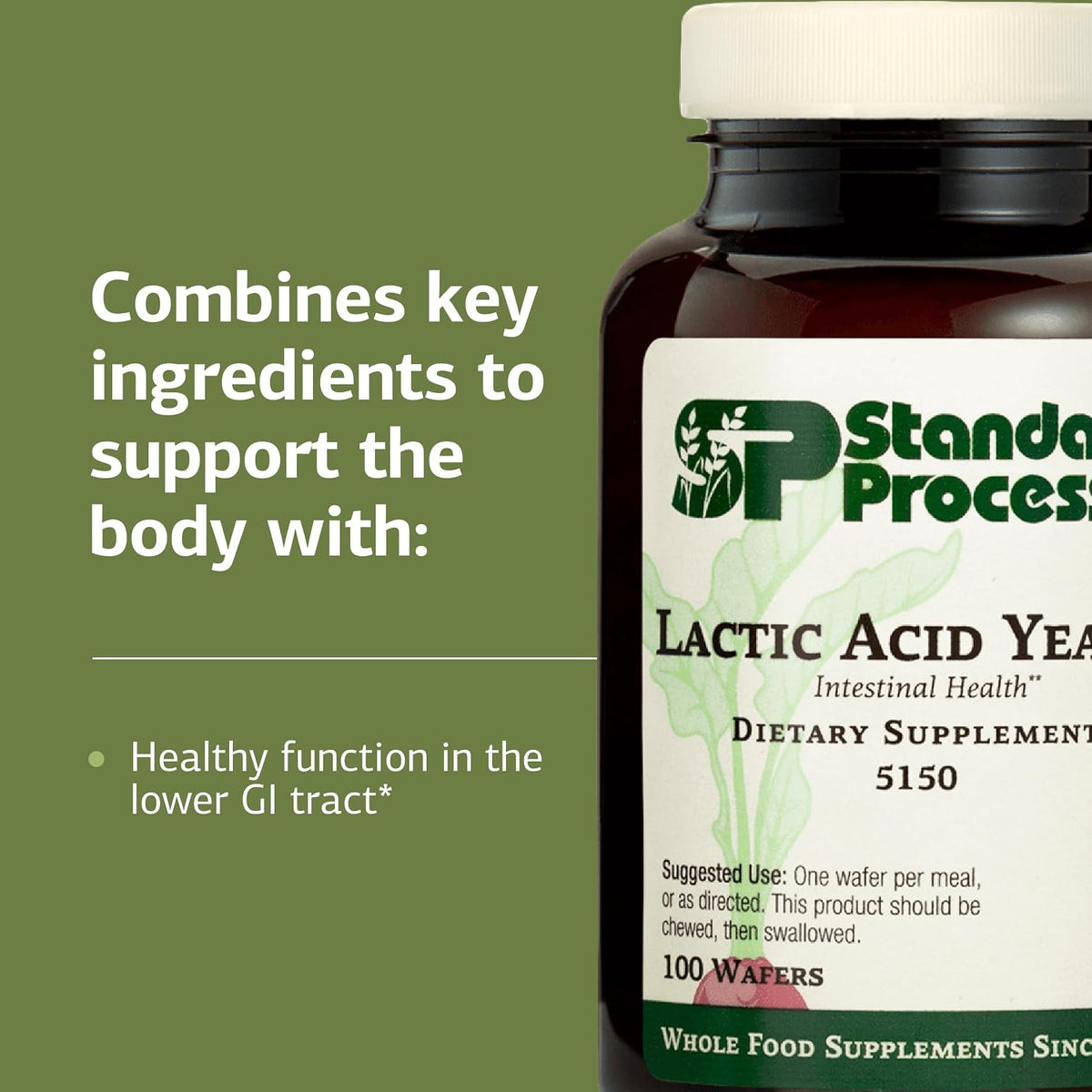 Standard Process Lactic Acid Yeast, Digestive & Gut Health, 100 Wafers