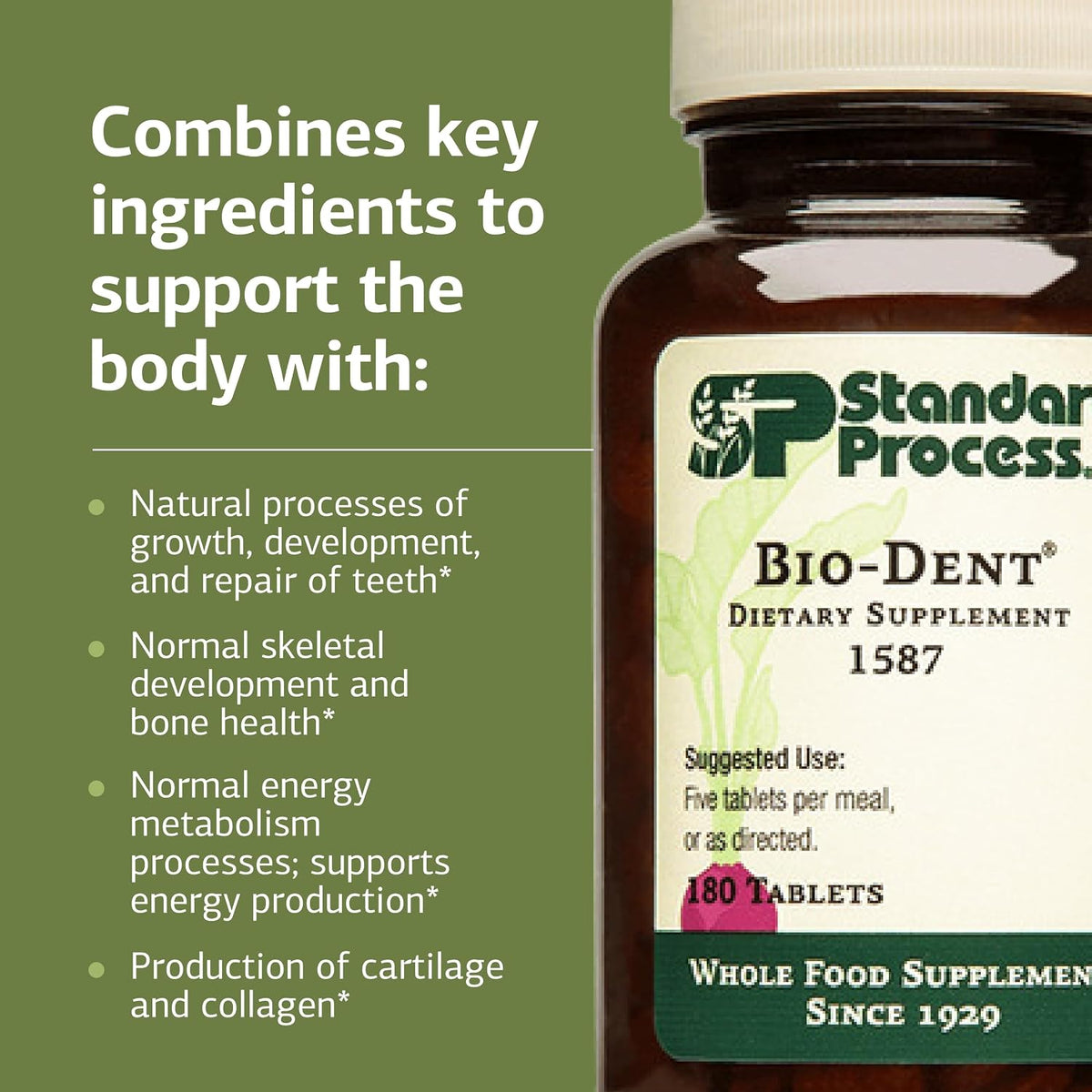 Standard Process Bio-Dent Skeletal Health Supplement, 180 Tablets