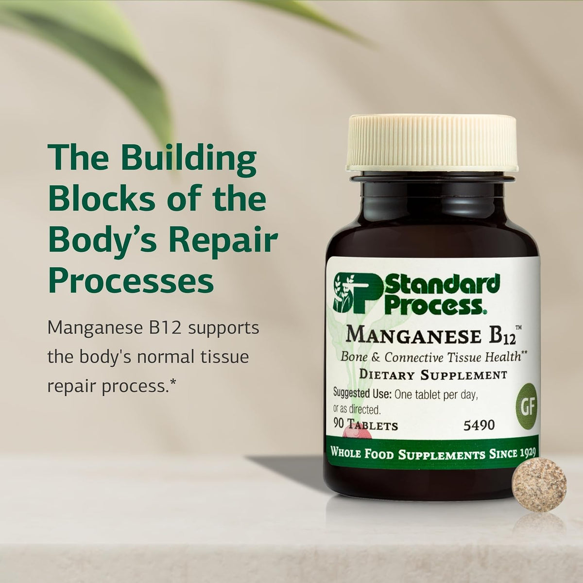 Standard Process Manganese B12, Bone & Connective Tissue, 90 Tablets