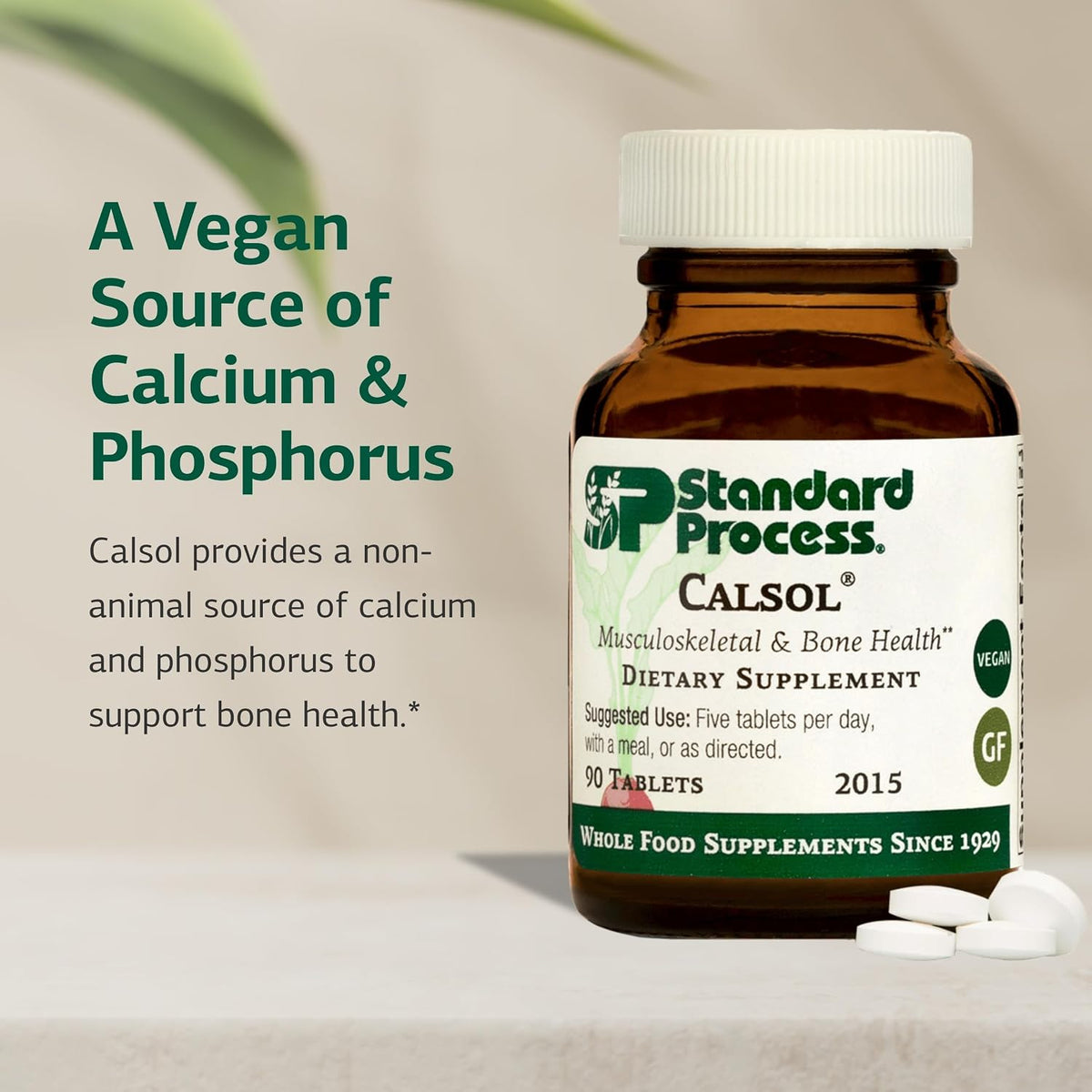 Standard Process Calsol, Musculoskeletal & Bone Health Support, 90 Tablets