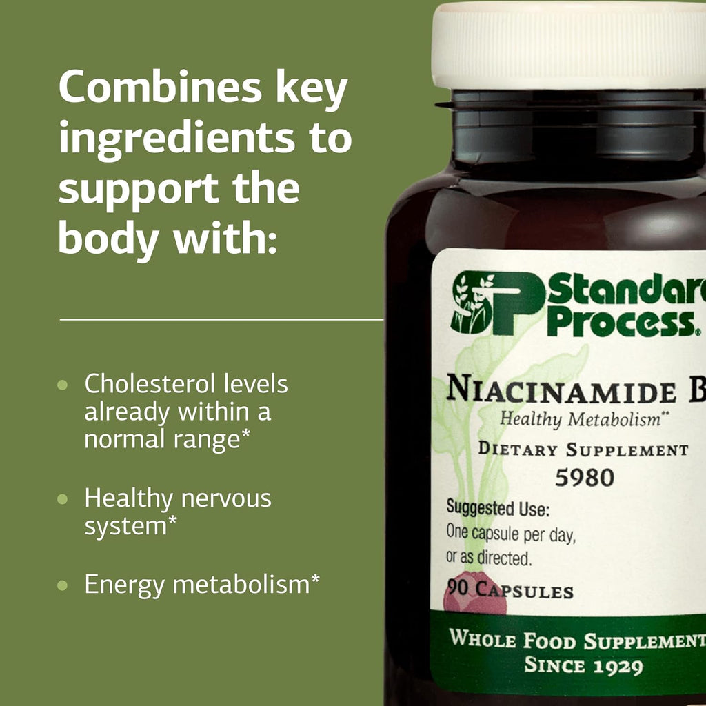Standard Process Niacinamide B6, Energy Metabolism Support, 90 Capsules