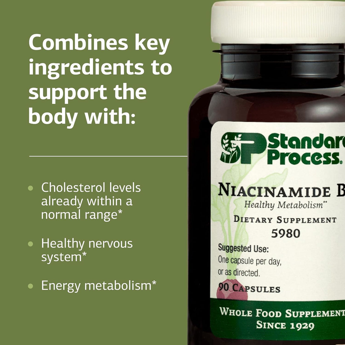 Standard Process Niacinamide B6, Energy Metabolism Support, 90 Capsules