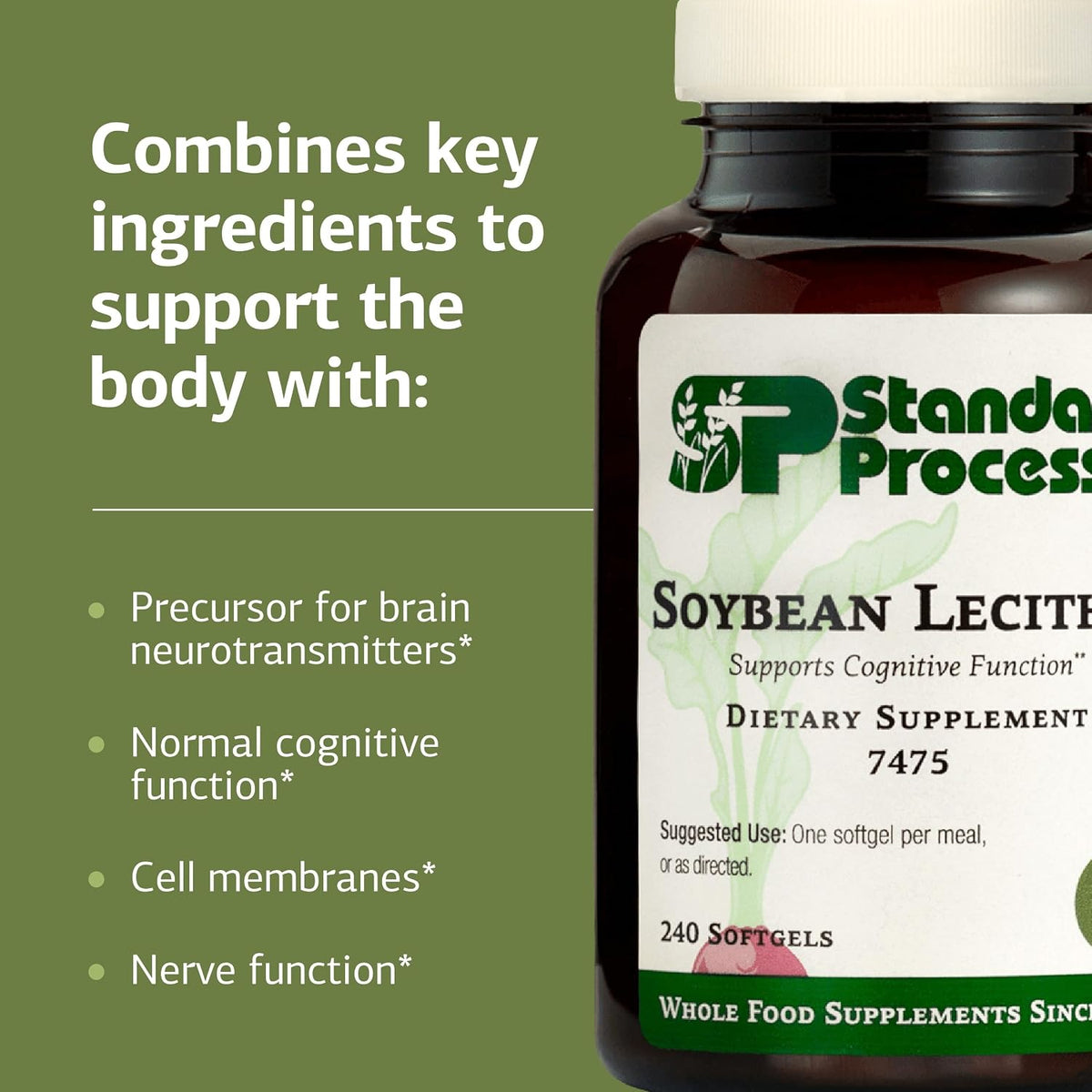 Standard Process Soybean Lecithin, Essential Fatty Acids, 240 Softgels