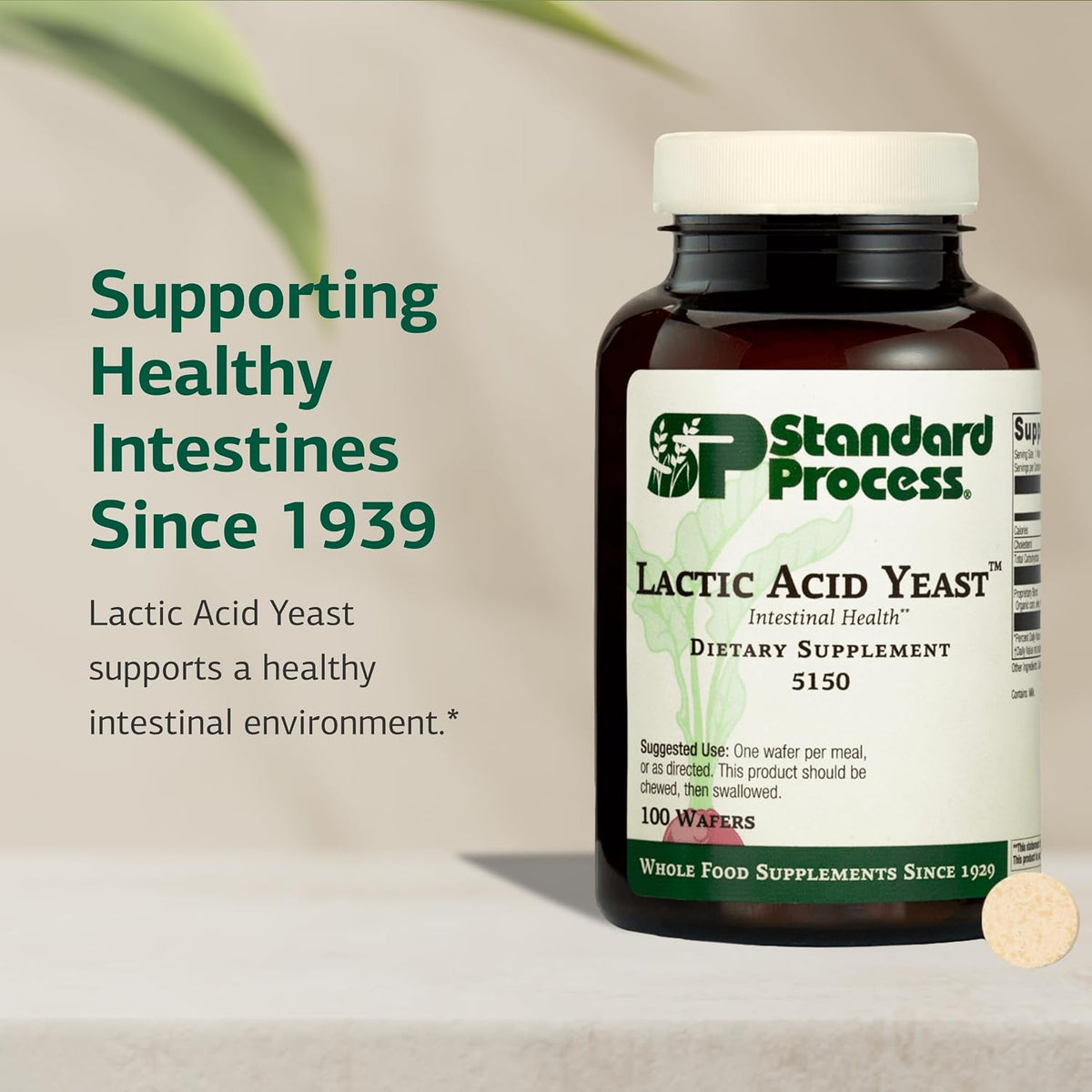 Standard Process Lactic Acid Yeast, Digestive & Gut Health, 100 Wafers