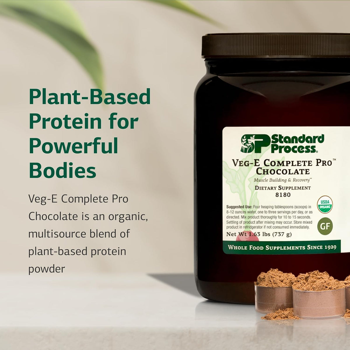 Standard Process Veg-E Complete Pro, Plant-Based, Chocolate, 18 Servings