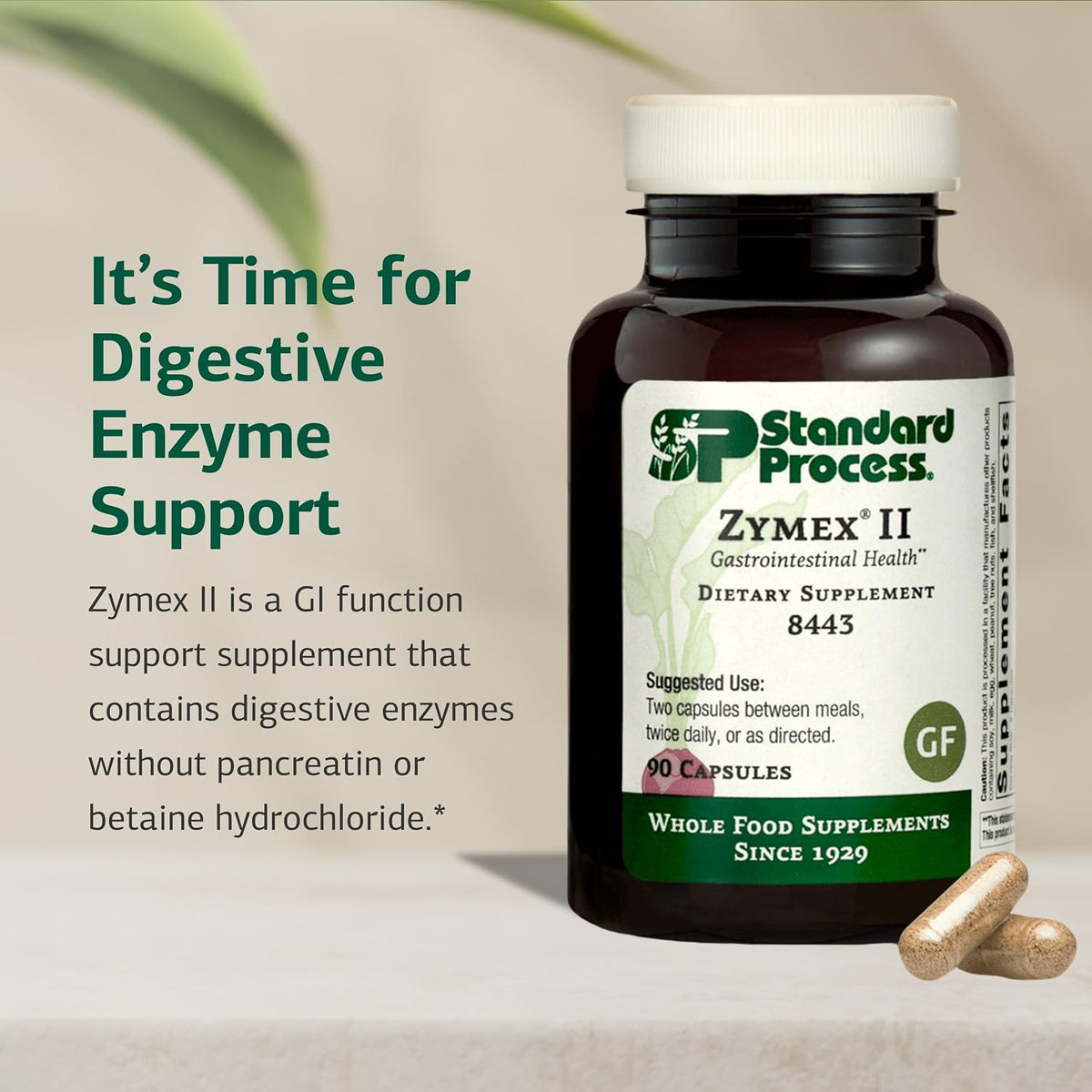 Standard Process Zymex II, GI Digestive Enzyme Supplement, 90 Capsules