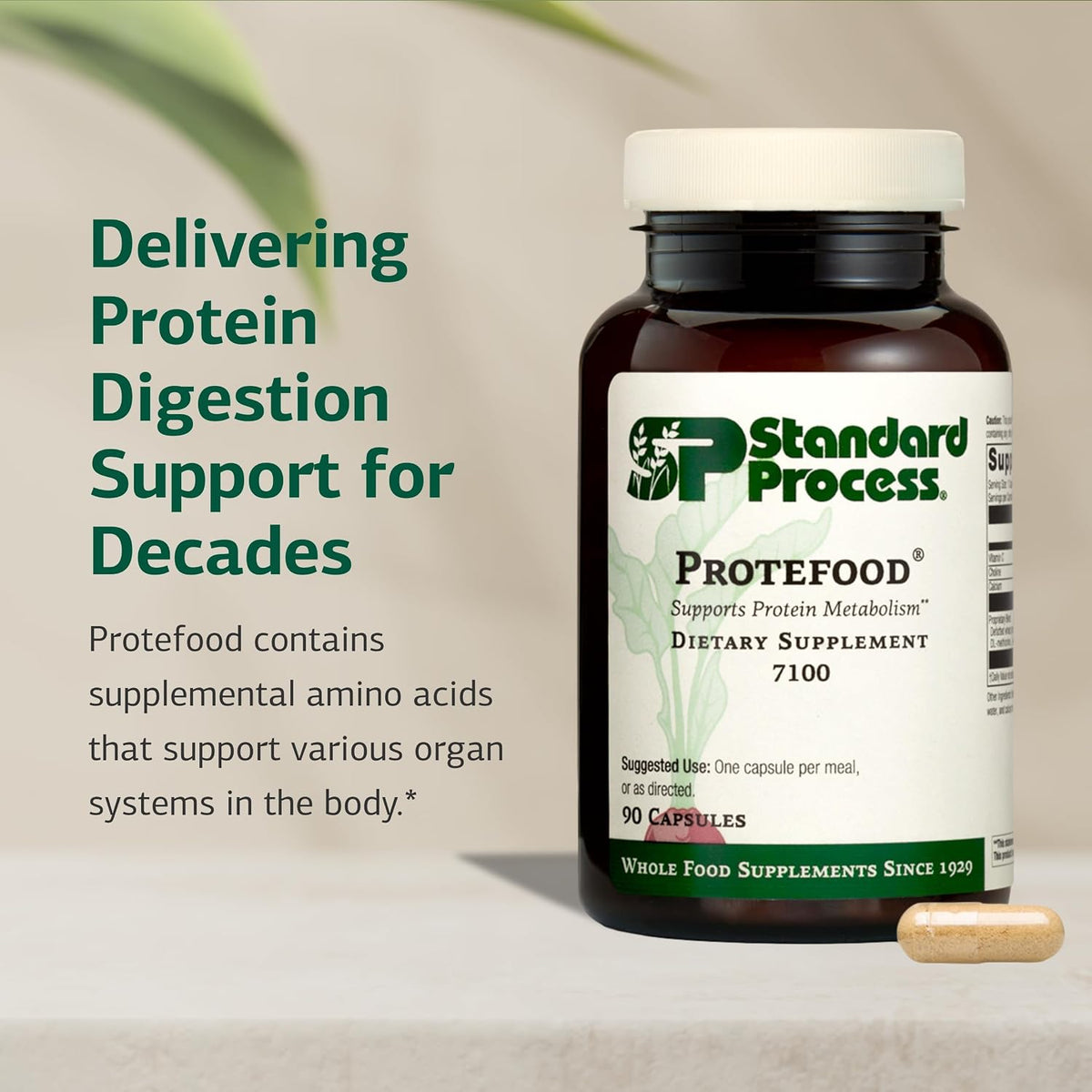 Standard Process Protefood, Whole Food Protein Metabolism Aid, 90 Capsules