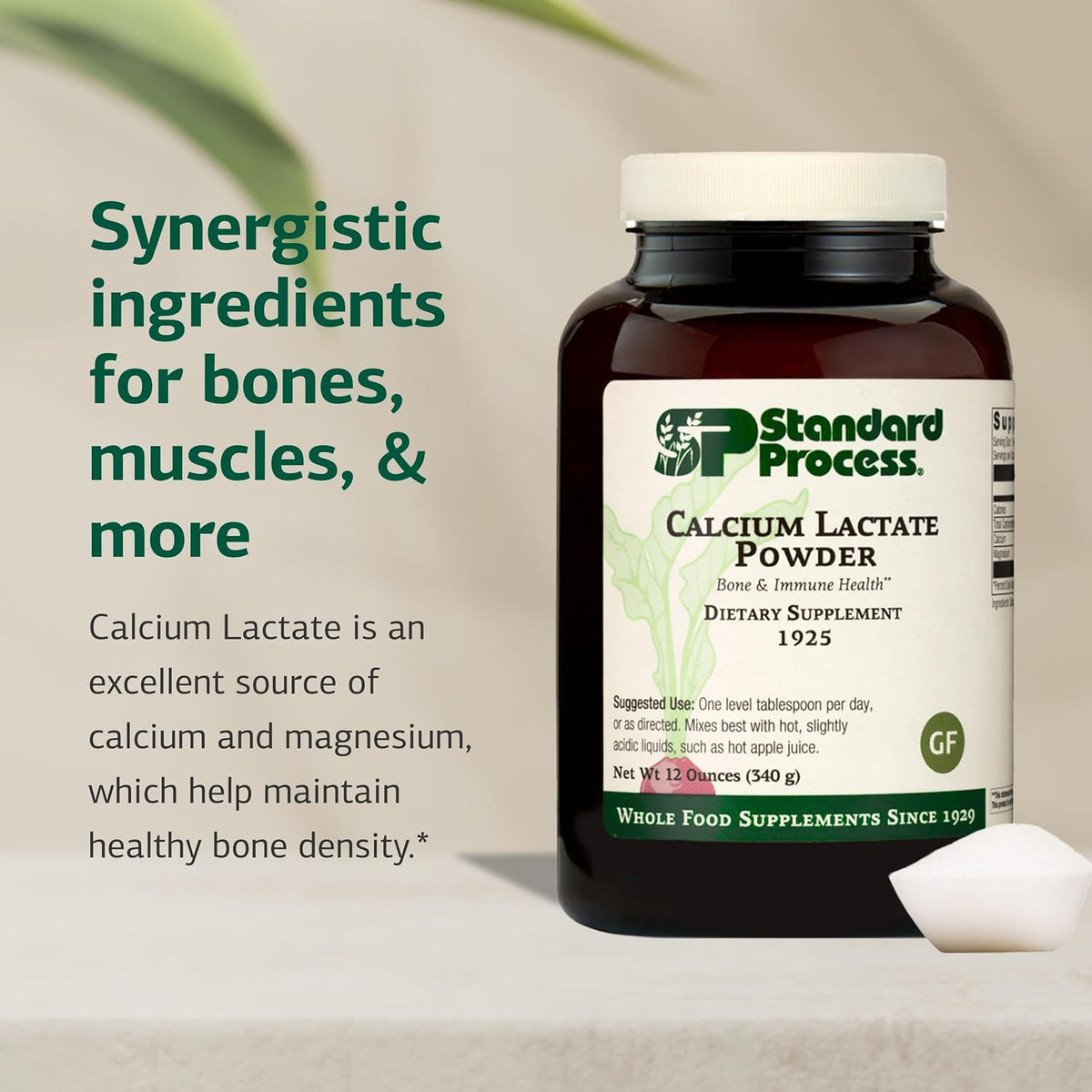 Standard Process Calcium Lactate Powder, Bone & Immune Supplement, 12 oz