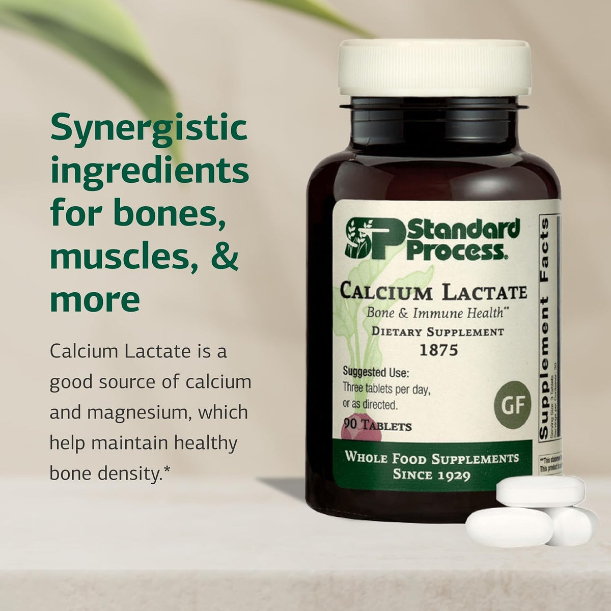 Standard Process Calcium Lactate, Bone & Immune Supplement, 90 Tablets