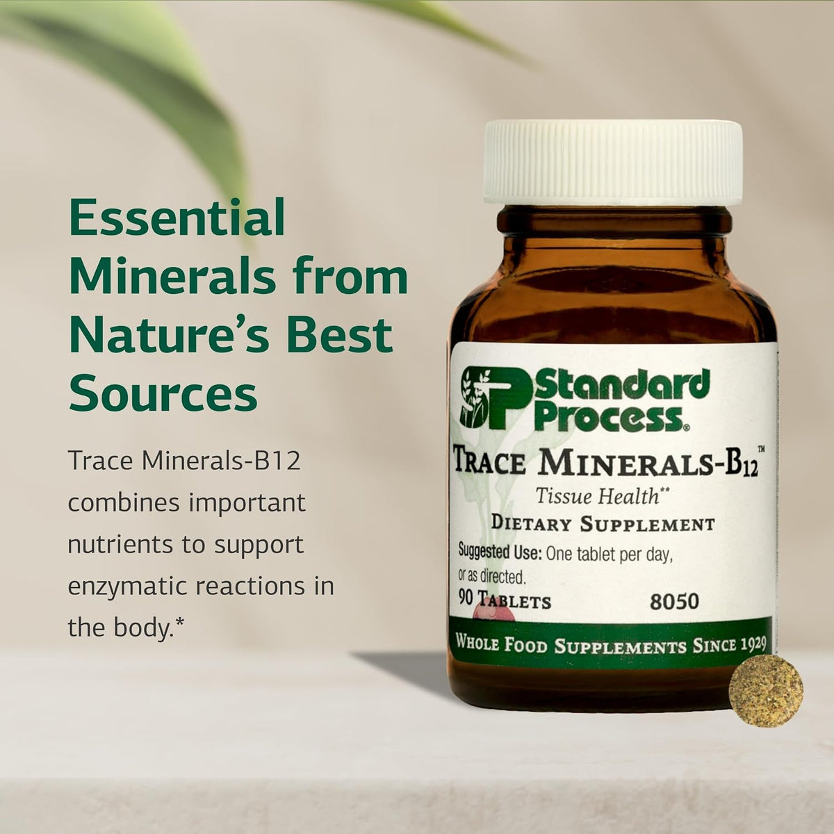 Standard Process Trace Minerals-B12, Thyroid & Cell Function, 90 Tablets