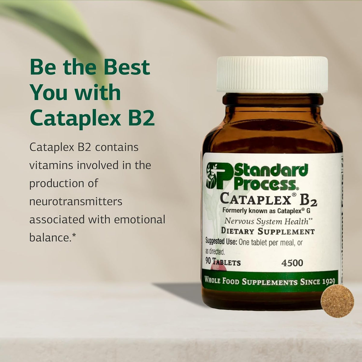 Standard Process Cataplex B2, Nervous System & Brain Health, 90 Tablets