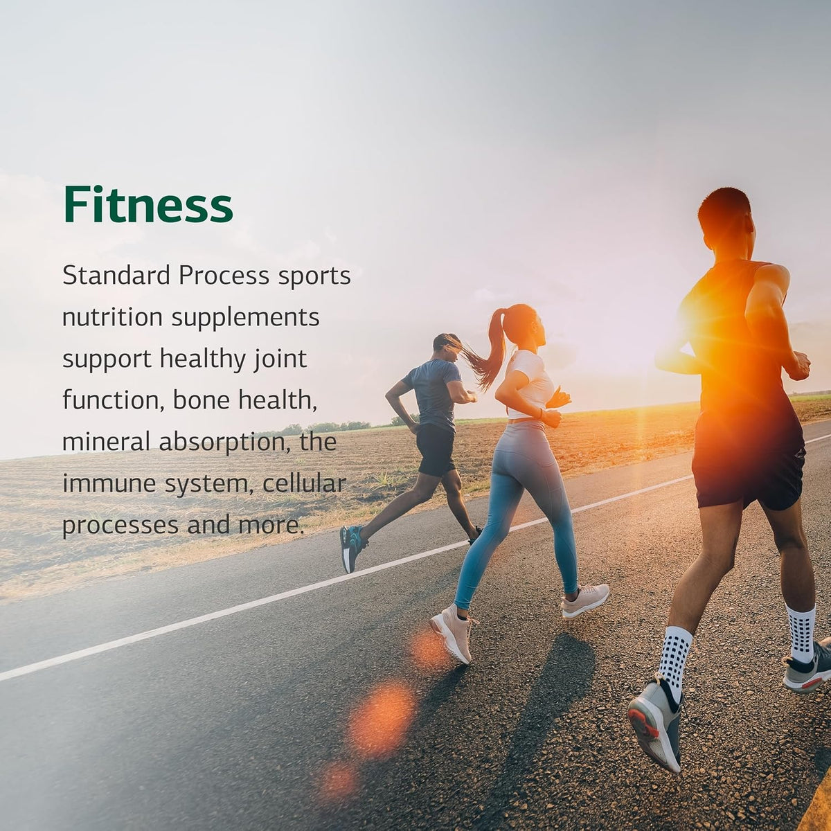 Standard Process Cataplex E2, Heart & Cellular Health Support, 90 Tablets