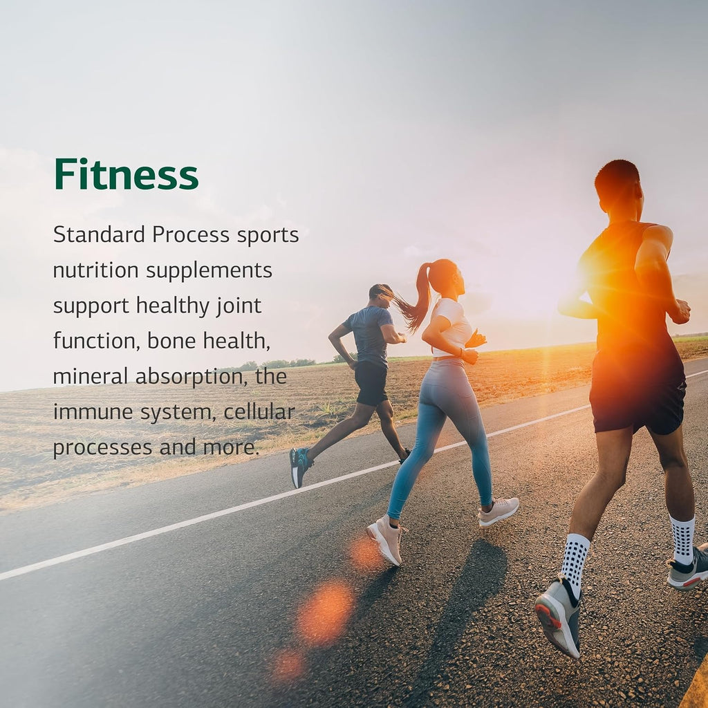 Standard Process Cataplex E2, Heart & Cellular Health, 360 Tablets