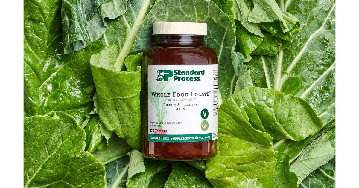 Standard Process Whole Food Folate™ – 270 Tablets